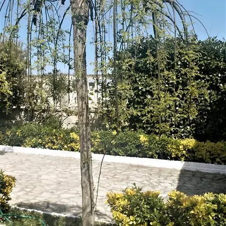 アパート A Campomarino *