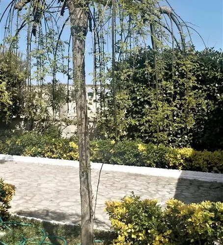 Apartment A Campomarino *