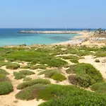 Апартаменты A Campomarino
